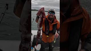 Giant Squid 600ft Deep alaska squid fishing calamari shorts [upl. by Ailahtan]