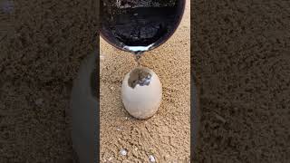 Aluminum Restoration Casting Melting into Eggs shorts [upl. by Niwrud]