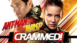 AntMan and the Wasp  ULTIMATE RECAP [upl. by Ettenaj]