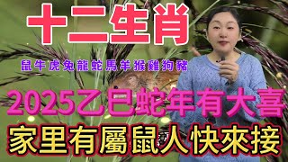 12生肖！ 2025年有大喜事！千萬不要錯過來接！接住好運！一整年都好運連連 財源廣進風水 生肖 運勢 佛教 [upl. by Nuri]