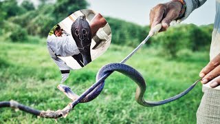 Kheralu takuka ke vaghavadi gaav me chaudhari Daljibhai ke ghar se Cobra Ko Bachaya Gaya9624057702 [upl. by Gibbie]