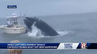 Maine boys help rescue people from water after whale hits boat [upl. by Madelaine]