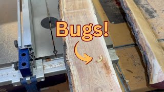 Heat Sterilize Wood to Kill Bugs [upl. by Anya886]