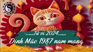 Tử vi tuổi Đinh Mão 1987 nam mạng năm 2024 [upl. by Ybor]