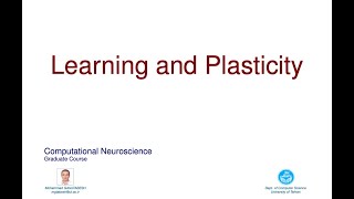 CNS19  Learning and Synaptic Plasticity [upl. by Rochus495]