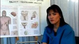 How to Perform a Testicular Cancer Exam  What is Testicular Cancer [upl. by Yruok422]