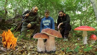 Centinaia di PORCINI i FUNGHI della faggeta [upl. by Yecnay]