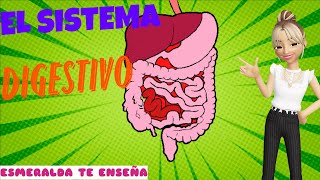 El Sistema Digestivo  El Cuerpo Humano  Esmeralda Te Enseña [upl. by Saturday]