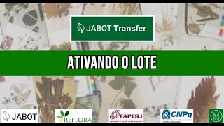 6  Ativando o lote no JABOT TRANSFER [upl. by Clotilde]