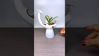 Best plant for home garden gardening plants flowers [upl. by Keyek]