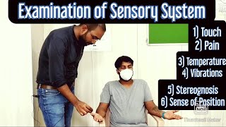 CNS  Examination of Sensory system Upper Limb EnglishHindi MBBS NEXT NEETPG [upl. by Mert]