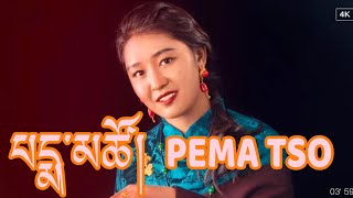 New Tibetan Song Pema Tso པདྨ་མཚོ། དཔྱིད་ཀ་བཞད་པའི་སྣང་བ། [upl. by Irual]