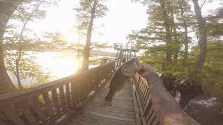 REELFOOT LAKE PIER FISHIN [upl. by Doownelg]