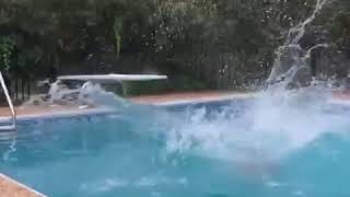 Diving Board Breaks While Guy Tries to Jump Into Swimming Pool  1138573 [upl. by Daahsar]