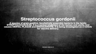 Medical vocabulary What does Streptococcus gordonii mean [upl. by Anelle]