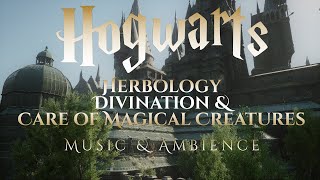 Herbology Divination amp Care of Magical Creatures  Beautiful Hogwarts Legacy Harry Potter Ambience [upl. by Melentha430]