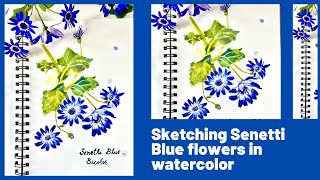 Sketching flowers in watercolors  Senetti Blue flower painting  Sketchbook journals [upl. by Ibrab]