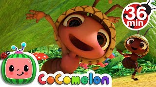 Ants Go Marching  More Nursery Rhymes amp Kids Songs  CoComelon [upl. by Burwell213]