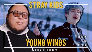 Producer Reacts to Stray Kids quotYoung Wingsquot [upl. by Ihteerp]