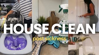 HOUSE CLEAN POST SICKNESS  a whole lot of disinfecting  extreme cleaning motivation [upl. by Nohsad]