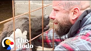 Guy Rescues Hundreds Of Dogs From City Shelters  The Dodo [upl. by Olva440]