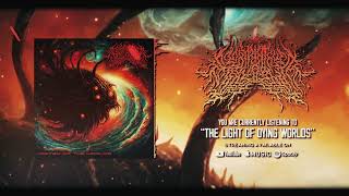 Labyrinthus Stellarum  The Light of Dying Worlds Track Premiere [upl. by Assener233]