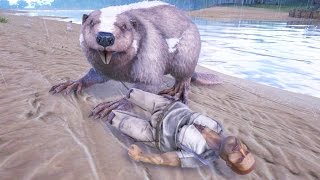 KILLER BEAVER  ARK SURVIVOR 6 [upl. by Diena890]