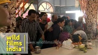 Devotees taking blessings from Sai Baba in Saisthanam temple [upl. by Petuu]