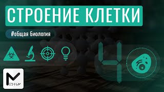 Строение клетки  ЕГЭ по биологии [upl. by Odlanier]