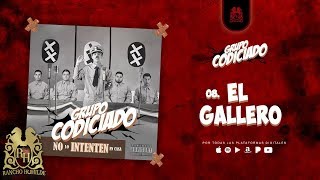 08 Grupo Codiciado  El Gallero Official Audio [upl. by Mareld184]