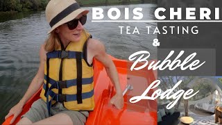 Bois Cheri Tea Tasting and Bubble Lodge [upl. by Montague]