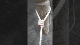 One Of The Most Strongest Knots shortsviral fyoupage fyp shorts [upl. by Vanya12]