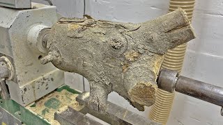 Woodturning  horned log [upl. by Zakaria]