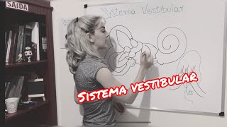 Sistema Vestibular  Resumo da anatomia fisiologia e função do Sistema Vestibular Periférico [upl. by Eicak]