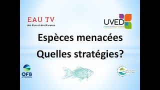 Biodiversité stratégie de préservation des espèces menacées [upl. by Ymorej]