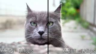 H264 vs H265 comparison 4K [upl. by Ahsiekim]