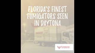 Floridas Finest Fumigators seen in Daytona [upl. by Zaragoza]