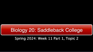 Saddleback Spring 2024 Biol 20  Week 11 Part 1 Topic 2 [upl. by Hastings]