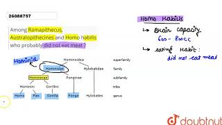 Among Ramapithecus Australopithecines and Homo habilis who probably did not eat meat [upl. by Brant180]