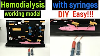 hemodialysis working model  hemodialysis working model with syringes  diyas funplay  diy project [upl. by Cornish]