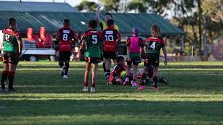 U11 Div 1 Rugby League  Colyton vs St Clair RD10 2023 [upl. by Aitra433]