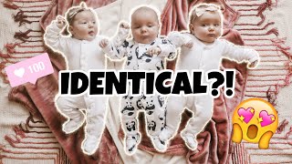 Are the TRIPLETS Identical or Fraternal DNA Results Confirmed [upl. by Leopoldine735]