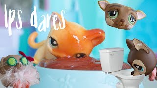 LPS Dares Ketchup Pool and Toilet Water [upl. by Nosirrah]