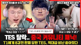 T1 4년 연속 롤드컵 4강 진출 TES 메이코 결국 T1 공포증 인정했다 quot매번 T1만 만나면 이길 수 없을 것 같은 느낌이 든다quot 롤이슈 붐바야 [upl. by Kcor961]