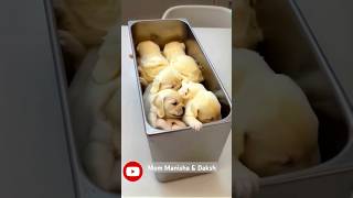 ice cream turns into puppies ice cream dogs viralshorts cute youtubeshorts shorts [upl. by Gnut]