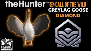 DIAMOND 😲 Greylag Goose Brown in theHunter Call of the Wild  REVONTULI COAST [upl. by Elcin]