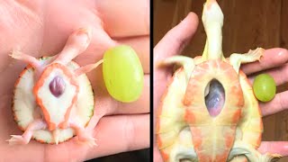 Exposed Heart Turtle Flaps Her Arms Whenever Her Dad Comes Near What She Did Next Went VIRAL [upl. by Oralla540]