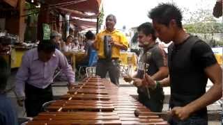 La del moño colorado con marimba [upl. by Ahsina]