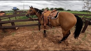 Go Pro  Calf Roping full practice [upl. by Constantia76]