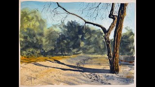 Watercolor  Mesquite Shadow [upl. by Aldon933]